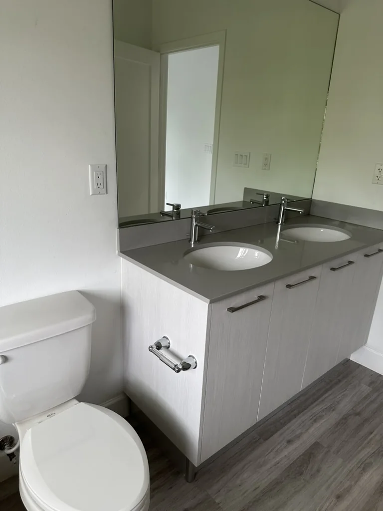 Double-sink vanity cabinet with mounted sinks and a large bathroom mirror